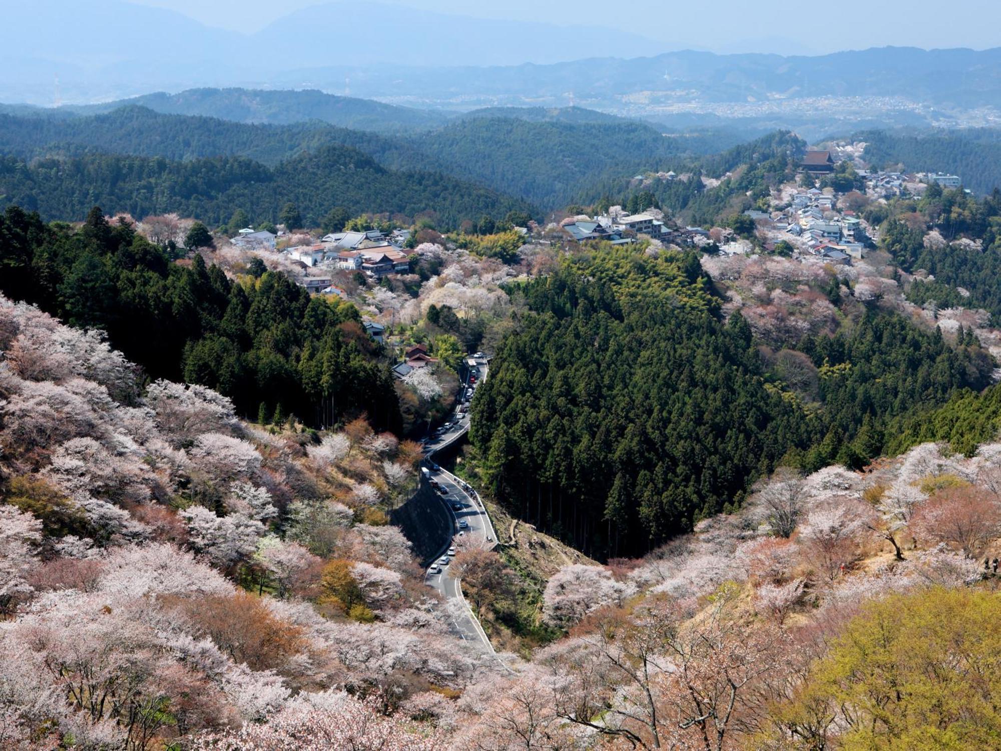 Grand Mercure Nara Kashihara 橿原市 外观 照片