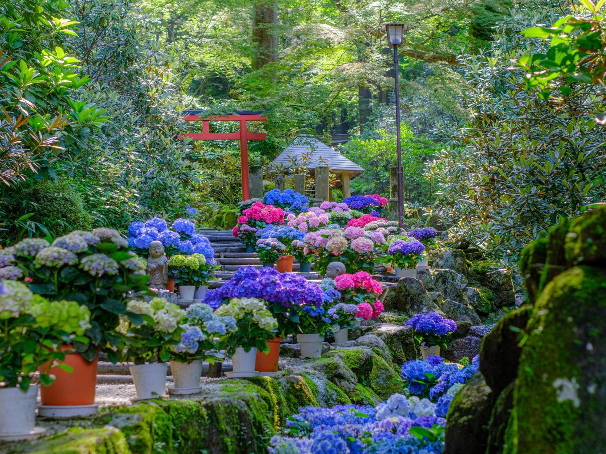 Grand Mercure Nara Kashihara 橿原市 外观 照片