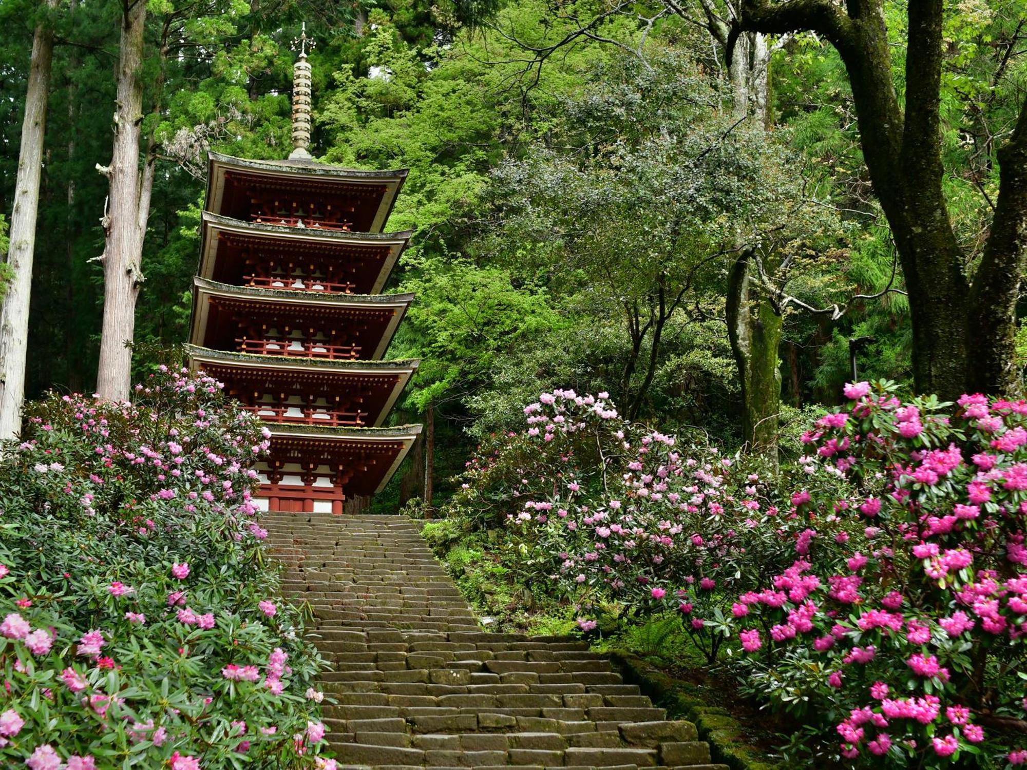 Grand Mercure Nara Kashihara 橿原市 外观 照片